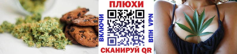наркотики  Фрязино  это как зайти  Печенье с ТГК конопля 