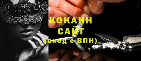 хмурый Пересвет