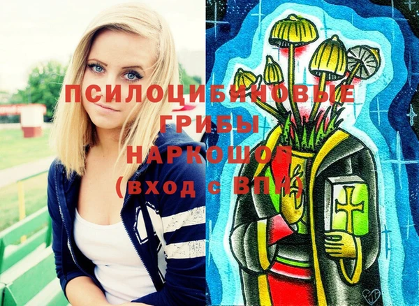 первитин Армянск