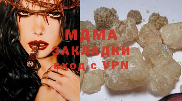 хмурый Пересвет