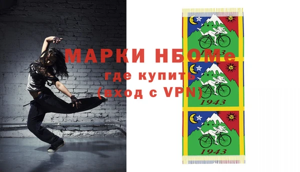 хмурый Пересвет